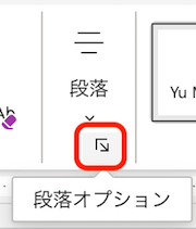 段落オプション
